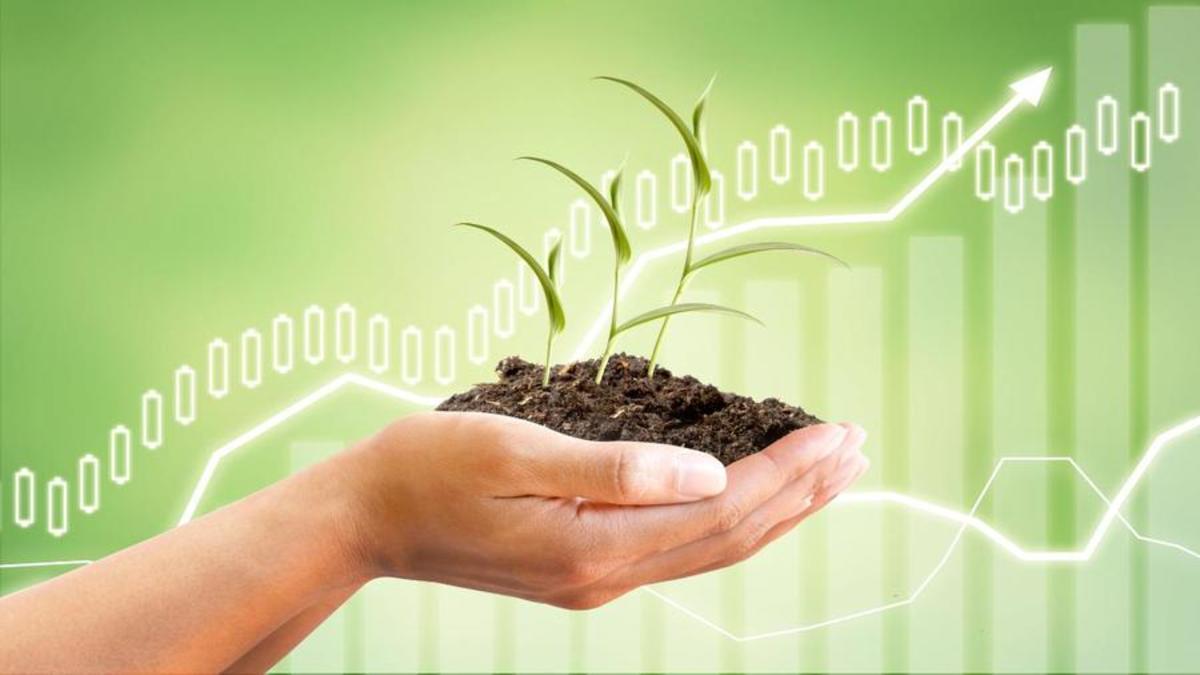 What is Socially Responsible Investing? - Client Focused Advisors